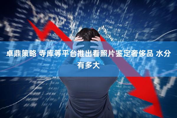 卓鼎策略 寺库等平台推出看照片鉴定奢侈品 水分有多大