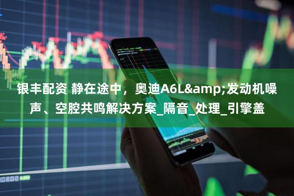 银丰配资 静在途中，奥迪A6L&发动机噪声、空腔共鸣解决方案_隔音_处理_引擎盖