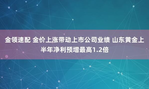 金领速配 金价上涨带动上市公司业绩 山东黄金上半年净利预增最高1.2倍