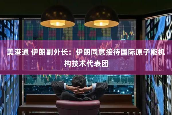 美港通 伊朗副外长：伊朗同意接待国际原子能机构技术代表团